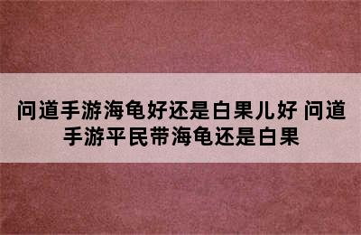 问道手游海龟好还是白果儿好 问道手游平民带海龟还是白果